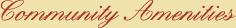 Comunity Amenities